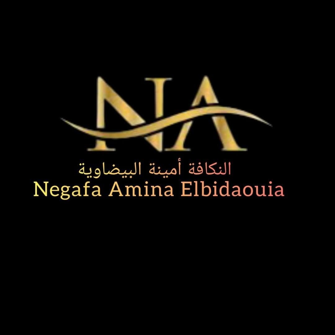 Negafa Amina Elbidaouia logo